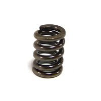 Hobby Works RC Slipper Tensioner Spring (1)           (b,mt,sc)