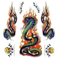 Jackal Decal 1/24 Flaming Cobra (External)