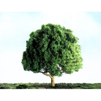 JTT Oak Trees              38mm          (4)